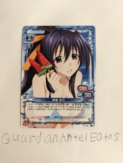 Precious Memories TCG CCG High School DxD Akeno Himejima Promo Card Near Mint - Image 1