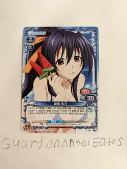 Precious Memories TCG CCG High School DxD Akeno Himejima Promo Card Near Mint - Image 3