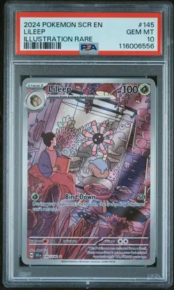 2024 Pokemon Stellar Crown LILEEP 145/142 Illustration Rare PSA 10 - Image 3