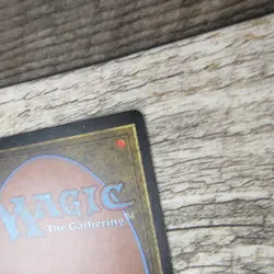 Magic The Gathering MTG Rukh Egg Arabian Nights 1993 LP Excellent Ungraded - Image 10