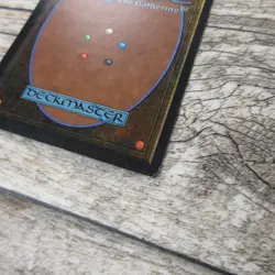 Magic The Gathering MTG Rukh Egg Arabian Nights 1993 LP Excellent Ungraded - Image 11