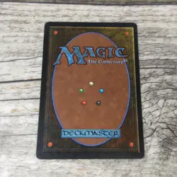 Magic The Gathering MTG Rukh Egg Arabian Nights 1993 LP Excellent Ungraded - Image 7