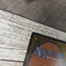 Magic The Gathering MTG Rukh Egg Arabian Nights 1993 LP Excellent Ungraded - Image 9