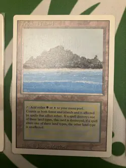 Tropical Island Revised LP NM (card in title only) - Image 3
