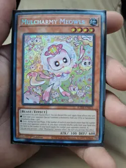 *** MULCHARMY MEOWLS *** ORIGINAL 1ST EDITION SECRET RARE SUDA-EN025 YUGIOH! - Image 1