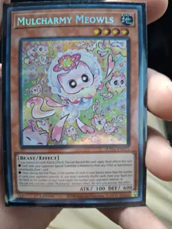 *** MULCHARMY MEOWLS *** ORIGINAL 1ST EDITION SECRET RARE SUDA-EN025 YUGIOH! - Image 2