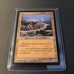MTG Winding Canyons Regular Rare Weatherlight WTH - Image 14