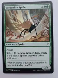 MTG Magic The Gathering Card Penumbre Spider Creature Spider Green Time Spiral R - Image 1