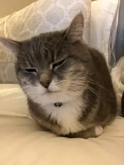 Yugioh! (x3) Bottomless Trap Hole GS01-KR019 Gold Rare (Near Mint) *Korean* - Image 4