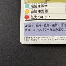 SEIRYU #37 Yu Yu Hakusho Carddass Card BANDAI 1993 Japan Banpresto e217 - Image 11