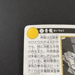 SEIRYU #37 Yu Yu Hakusho Carddass Card BANDAI 1993 Japan Banpresto e217 - Image 9