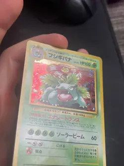 Pokemon Venusaur CD & GB Promo 003 Holo Card 1998 Japanese Edition - Image 7