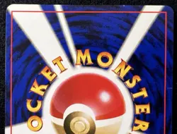 Brock Gym Heroes Holo Japanese Trainer 1998 Nivi City Deck Pokemon TCG Card - LP - Image 7