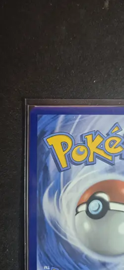 POKEMON EVEE EX  #174 S&V ENGLISH SPC BLACK  STAR PROMO CARD HOLO - Image 7