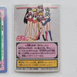 Sailor Moon Card  Holo Foil PRISM ×5 AMADA Carddass BANDAI Naoko Takeuchi EX VTG - Image 9