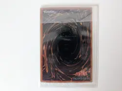 Yugioh Blue Eyes White Dragon Stainless Steel Card 20th Anniversary Limited Rare - Image 10