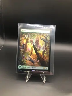 Forest  *FOIL*  Secret Lair Raining Cats and Dogs MTG NM  1515 (x7) - Image 1