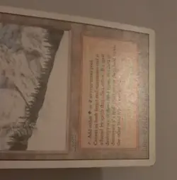 Taiga HP MTG Magic the Gathering Revised Reserved List - Image 4