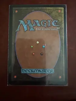 MTG Yavimaya Hollow - Urza's Destiny - NM - Image 2