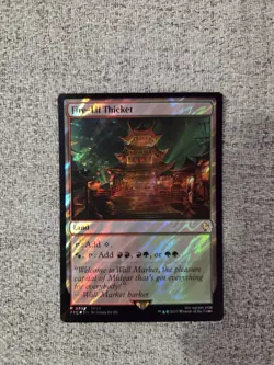 MTG Final Fantasy Fire-Lit Thicket, Surge Foil, Final Fantasy, Magic MTG NM - Image 4
