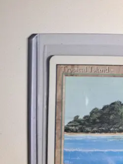 Tropical Island MTG Revised Unplayed NM Great shape! - Image 13