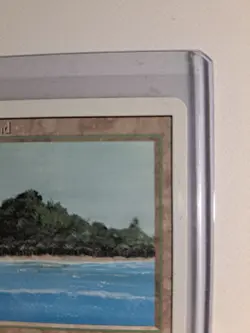 Tropical Island MTG Revised Unplayed NM Great shape! - Image 14