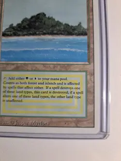 Tropical Island MTG Revised Unplayed NM Great shape! - Image 16