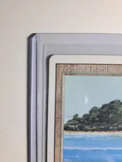 Tropical Island MTG Revised Unplayed NM Great shape! - Image 2