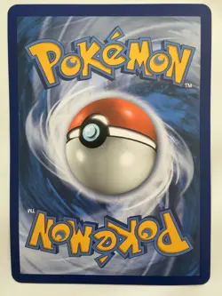 Trevenant & Dusknoir GX SM217 JUMBO Oversized Pokemon Card SLEEVE & TOPLOADER - Image 4