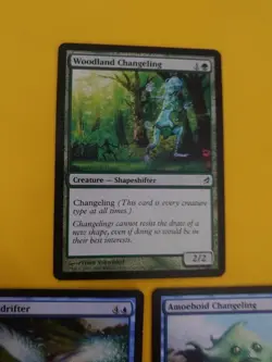 Lorwyn - Woodland Changeling,Mulldrifter, Amoeboid Changeling MTG 3 Card mix - Image 13