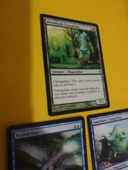 Lorwyn - Woodland Changeling,Mulldrifter, Amoeboid Changeling MTG 3 Card mix - Image 14