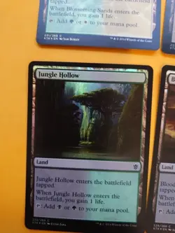 MTG Card.  KTK lands x6 all foil. inc  Blossoming sands, Jungle hollow x2 - Image 11