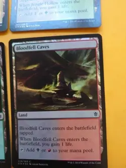 MTG Card.  KTK lands x6 all foil. inc  Blossoming sands, Jungle hollow x2 - Image 3
