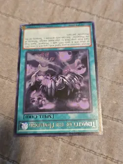 Yugioh Tenacity of the Monarchs rare Sece-en061 Rare 1st LP - Image 2