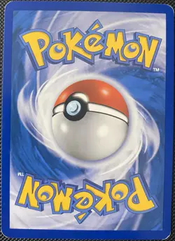 Pupitar 47/100 Stormfront Regular - Pokémon Card - Image 4