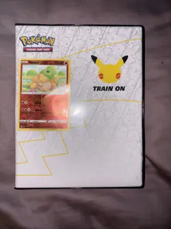 Jumbo Pokemon Card Collection - Image 1