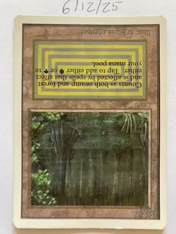 MTG - Unlimited Bayou - Dual Land - Image 12