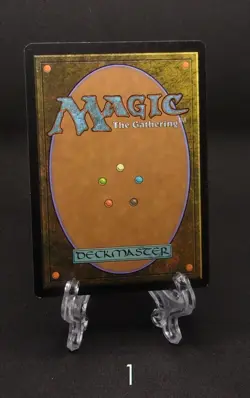 Magic the Gathering - Snow-Covered Swamp - Coldsnap - NM - Image 2