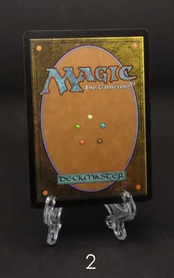 Magic the Gathering - Snow-Covered Swamp - Coldsnap - NM - Image 4
