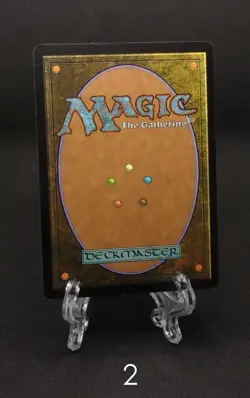 Magic the Gathering - Snow-Covered Swamp - Coldsnap - NM - Image 8