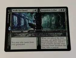 MTG Walk-In Closet   Forgotten Cellar - Duskmourn: House Of Horror LP - Image 1