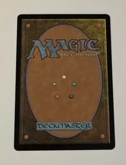 MTG Walk-In Closet   Forgotten Cellar - Duskmourn: House Of Horror LP - Image 2