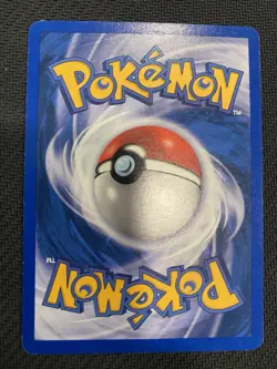 Pokémon TCG Sentret Neo Genesis 71 Unlimited Common Card - Image 2