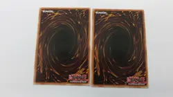 2x WIGHTPRINCESS  MONSTER  RATE-EN033  1ST EDITION  COMMON  YUGIOH NM / UNPLAYED - Image 2