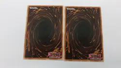 2x WIGHTPRINCESS  MONSTER  RATE-EN033  1ST EDITION  COMMON  YUGIOH NM / UNPLAYED - Image 4