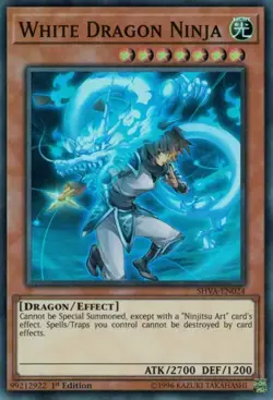 Shadows In Valhalla Singles Yu-Gi-Oh Card Game - Image 15