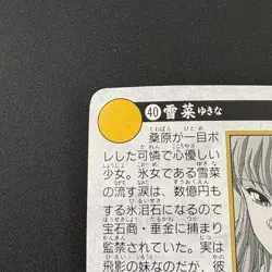 YUKINA #40 Yu Yu Hakusho Carddass Card BANDAI 1993 Japan Banpresto e217 - Image 9