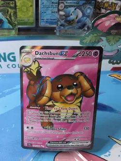 Dachsbun ex - 160/142 - Stellar Crown Full Art - NM - Pokemon - Image 3