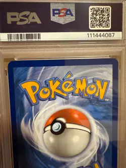 Pidgey 207/197 Sv03: Obsidian Flames Holo psa 10 Graded Pokemon Card GEM MINT - Image 10