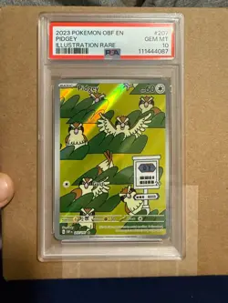 Pidgey 207/197 Sv03: Obsidian Flames Holo psa 10 Graded Pokemon Card GEM MINT - Image 6